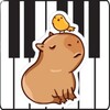 蜂鸟视频